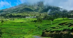 Ini Dia Daftar 5 Kota Tersepi di Indonesia, Cocok Buat Kamu yang Introvert!