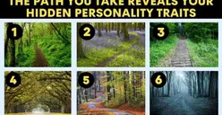Tes Psikologi: Manakah Jalur Hutan yang Ingin Dilewati? Pilihanmu Bantu Mengungkap Sifat Kamu yang Paling Dominan
