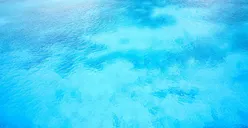 5 Karakter Asli dalam Diri Seseorang yang Menyukai Warna Biru, Benarkah Si Paling Cinta Damai?