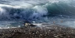 Wow! BMKG Temukan 13 Zona Gempa Megathrust yang Berpotensi Tsunami 34 Meter, Mana Saja?