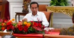 Presiden Jokowi Cawe-Cawe Pemilu 2024? Pihak Istana Ungkap Tujuan dan Harapannya