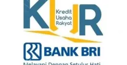 Bisakah Suami Ajukan KUR BRI 2023 Jika Istri Miliki Pinjaman di Tempat Lain? BISA, Simak Caranya agar di ACC