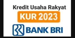 Simak Kriteria Khusus Nasabah Yang Bisa Ajukan Pinjaman Jenis KUR Mikro dan Kecil di Bank BRI 2023!