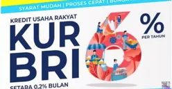 Penting! KUR BRI 2023 Sudah Dibuka, Tapi Tidak Untuk 5 Jenis Usaha Ini, Apa Saja?