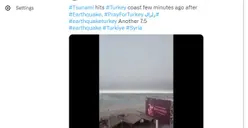 Viral! Tsunami Menghantam Pantai di Turki Beberapa Menit Setelah Gempa Bumi M7.8, Benarkah Faktanya?