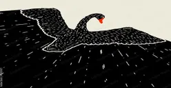 Belum Terpetakan dan Langka Terjadi, BMKG Sebut Gempa Jayapura Black Swan Earthquake