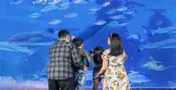 7 Rekomendasi Wisata Edukasi Bersama Keluarga di Jakarta untuk Libur Nataru, Seru Penuh  Keunikan
