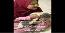 Videonya Bikin Mewek! Hilang 1,5 Tahun Akhirnya Kucing Tayo Pulang, Hingga Bocil dan Satu Rumah Begini....