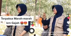 Viral! Video Afni Zulkifli dari LHK Terpaksa Marah Karena Gajah, Netizen Malah Beri Dukungan, Kok Bisa?