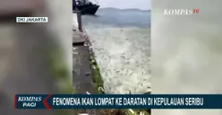 Fenomena Ribuan Ikan Lompat ke Daratan Pertanda Gempa atau Tsunami? Begini Penjelasan BMKG