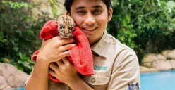 Profil Alshad Ahmad Usia, Pendidikan dan Prestasi yang Viral Nikahi Nissa Asyifa Sang Mantan Selama 2 Bulan