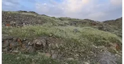 Dulu Gersang dan Berbatu Kini Tanah Arab Menghijau, Benarkah Tanda Kiamat Sudah Dekat?