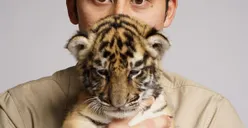Alshad Ahmad Berduka, Cenora Anak Harimau Peliharaanya Mati, Warganet: Masih Bayi Banyak Dikontenin