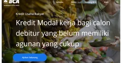 Hore! KUR BCA 2023 Dibuka Limit hingga Rp500 Juta, Cek Syarat dan Ketentuannya