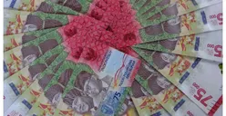 Perhatikan Baik-baik! Inilah 6 Penyebab KUR BRI 2023 Tak Bisa Suplesi atau Top Up, Apa Saja?