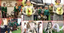 Usai Viral Menikahkan Anjing dengan Konsep Pernikahan Jawa, Pihak Penyelenggara Akhirnya Minta Maaf