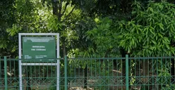 Kontroversi Hutan Cawang Sarang LGBT, Dipelototi CCTV dan Satpol PP, Dibela Komnas HAM