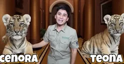 4 Kontroversi Alshad Ahmad, dari Anak Harimau Mati hingga Soal Hubungan Suami Istri di Luar Nikah