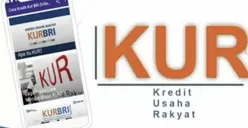 Wajib Hindari! Faktor Pinjaman KUR BRI 2023 Ditolak Bank, Simak Tips Agar Lolos Survey Usaha