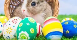 Alasan Kenapa Banyak Telur Hias dan Kelinci Setiap Perayaan Paskah, Ternyata ini Kisah Bersejarah di Baliknya 