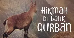 Bukan untuk Mengejar Popularitas atau Dianggap Kaya, Ini Hikmah yang Terkandung dari Qurban saat Idul Adha
