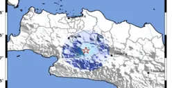 Belum Tenang Sesar Cugenang, 534 Kali Gempa Susulan Cianjur Masih Terus Membayangi