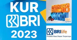 Inilah 3 Asuransi pada Pinjaman KUR BRI 2023 yang Wajib Anda Tahu! Nomor 3 Paling Menguntungkan