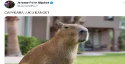 Heboh! Jerome Polin Dihujat Karena Unggah Foto Capybara, Ternyata Ini Asal Mula Hewan Itu Dipanggil Masbro