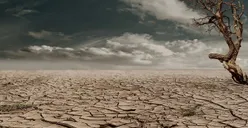 Awas! El Nino Menghantam Indonesia Akibatkan Bencana Kekeringan hingga Agustus, Ini Daerah yang Terdampak
