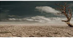 BMKG Prediksi Musim Kemarau Akan Datang Lebih Cepat, Peluang El Nino Mencapai 60 Persen!
