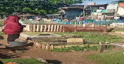 Curhatan Seorang Anak, Kuburan Orangtua Buat Kandang dan Njemur, Netizen Malah Ungkap Hal Heboh Lainnya