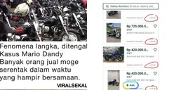 Fenomena Langka! Banyak Orang Jual Moge Mendadak Setelah Kasus Mario Dandy Viral, Penjualnya Perlu Dicek?