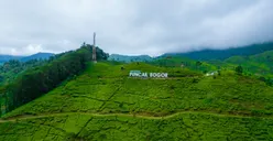 Selain Puncak, Ini Tempat Wisata di Bogor yang Dekat Jakarta untuk Libur Lebaran 2023