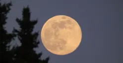 Saksikan Malam Ini Ada Bulan Purnama Harvest Moon, Bulan Bakal Terlihat Lebih Bersinar