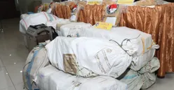 Polres Jakarta Barat Ungkap Ganja 534 Kilogram dari Jaringan Sumatera - Jawa, 9 Pelaku Diamankan    