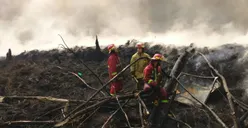 Kebakaran di Gunung Putri Bogor 13 Jam Lebih Api Tak Kunjung Padam