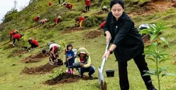 Viral Foto Puan Maharani Lagi Tanam Bibit Disebut Editan Green Screen