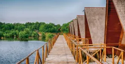 Siapa Bilang Jakarta hanya Dihiasi Gedung Tinggi? Ada Taman Wisata Alam Mangrove di Wilayah Ibu Kota!