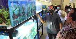 Bogor Aquatic Center Siap Jadi Surga Baru Bagi Para Pecinta Ikan Hias di Kota Bogor