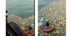 Viral Video Ratusan Minyak Goreng Kemasan Tumpah di Tengah Lautan, Netizen: Salah Nimbun