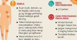 Penyebab Cacar Monyet, Penyakit Menular yang Gejala Awalnya Mirip Cacar Air