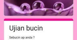 Link Tes Ujian Bucin 2022 KLIK DISINI, Seberapa Bucin Sih Kamu Kepada Pasanganmu?