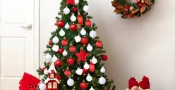 Mengenal Cemara, Pohon yang Identik dengan Natal, Makna Kerohanian yang Sakral
