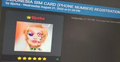 Identitas Hacker Bjorka Tidak akan Terungkap, Begini Penjelasan Pakar Pertahanan Cyber