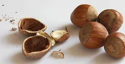 3 Manfaat Kemiri bagi Kesehatan yang Harus Diketahui