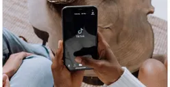 Viral di TikTok Pertanyaan Gajah Terbang Nampak Apanya? Simak Jawabannya Berikut Ini!