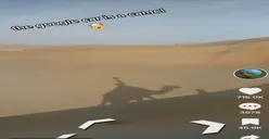 Viral Google Maps Gunakan Unta Berkamera di Gurun Pasir, Warganet Ngakak : Bakal Ada Waktu Tempuh dengan Unta