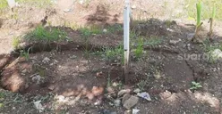 TPU Bambu Apus Kebanjiran, Makam Khusus Covid-19 Ada yang Ambles