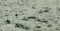 Volume Banjir di Jakarta Perlahan Surut, BNPB Imbau Warga Tetap Waspada!