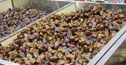 5 Jenis dan Harga Kurma Paling Diminati Buat Buka Puasa